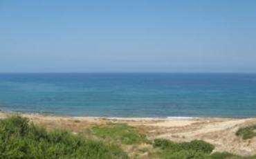 Israelis in Northern Cyprus