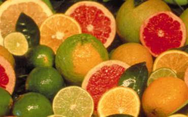  Citrus festival in Northern Cyprus