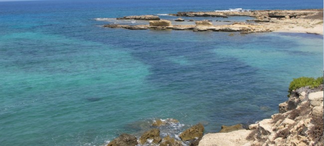 The cleanest sea