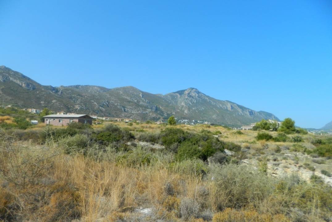 One donum of land in Catalkoy
