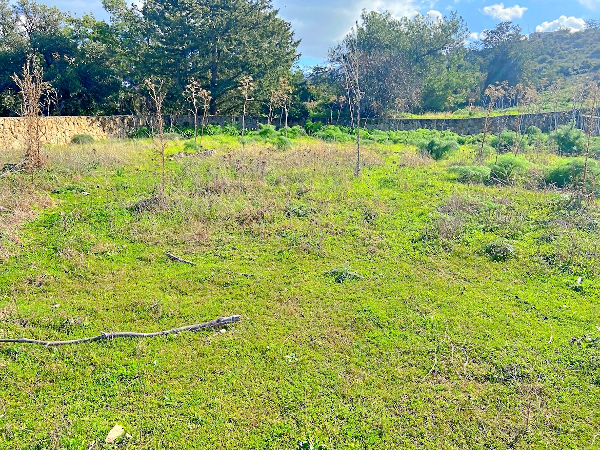 Two separate plots of land for building a house