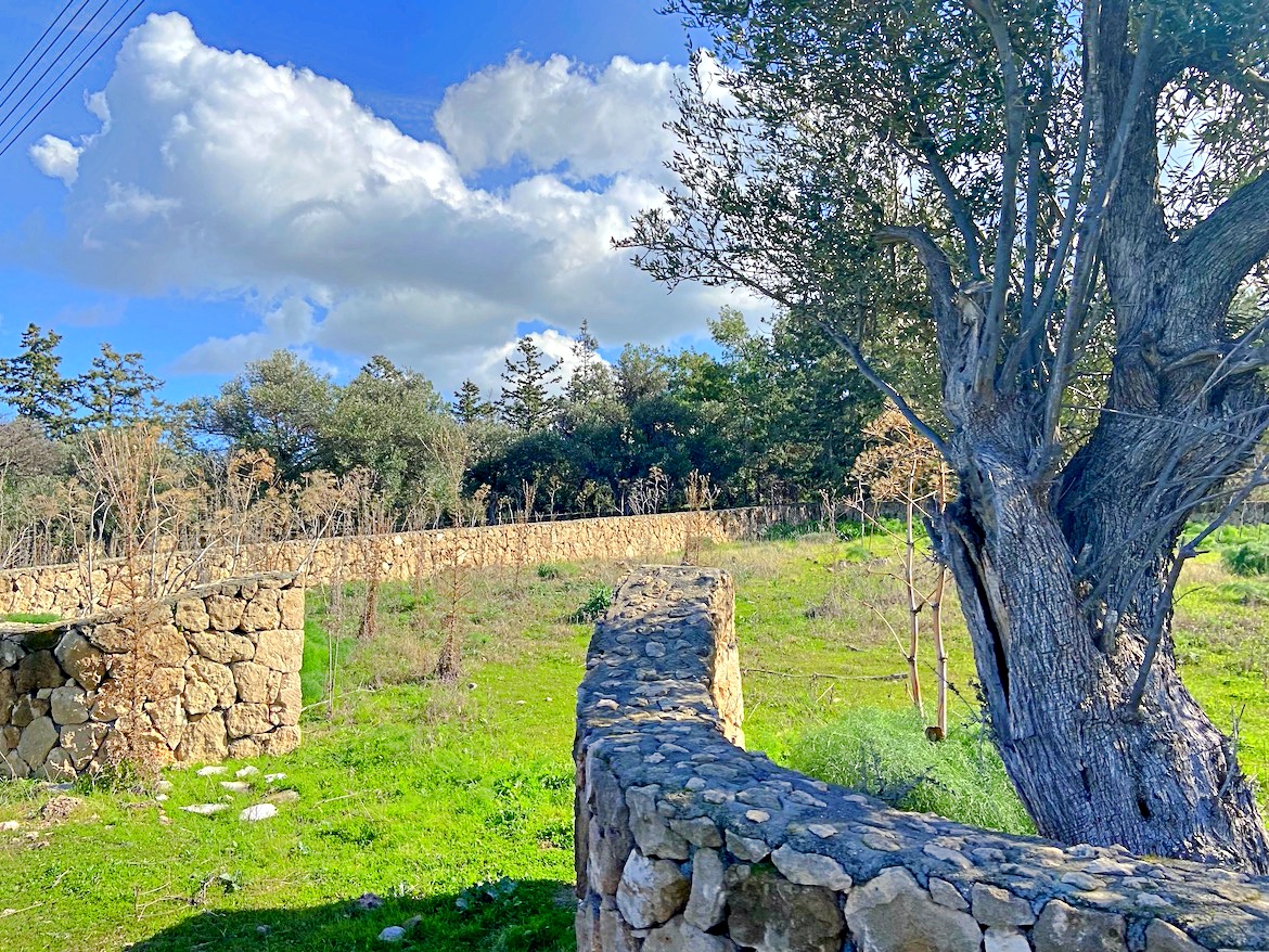 Two separate plots of land for building a house