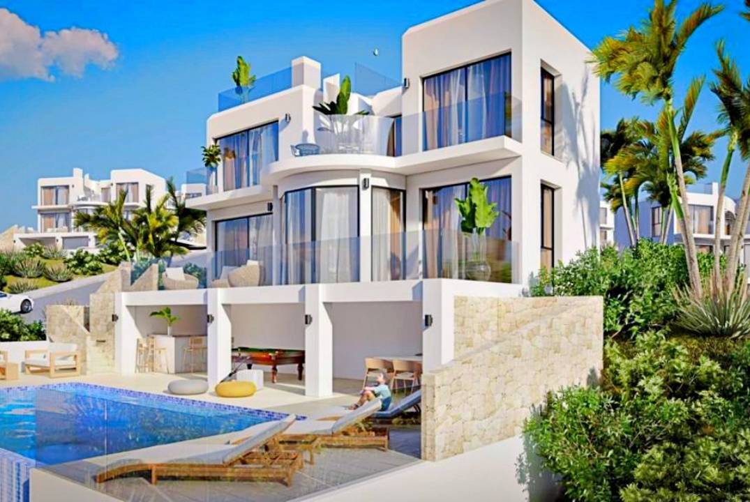 Attention of investors - villa project for sale!