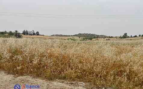 Sale of land in Iskele, Turkish title deeds