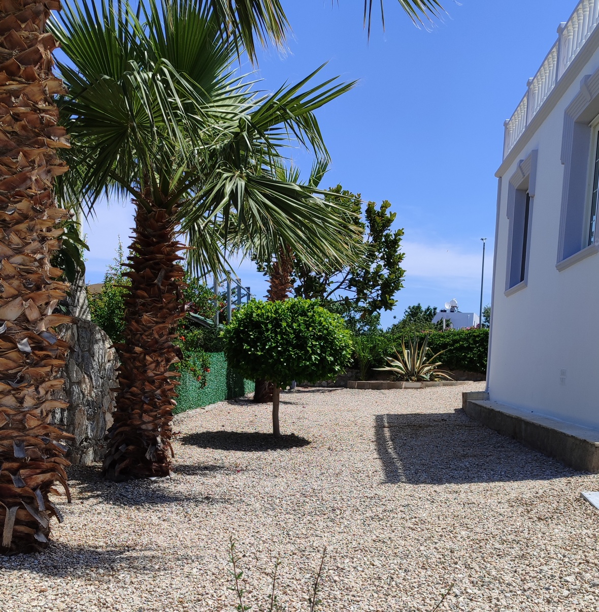 Luxury Villa on the Mountainside in Esentepe
