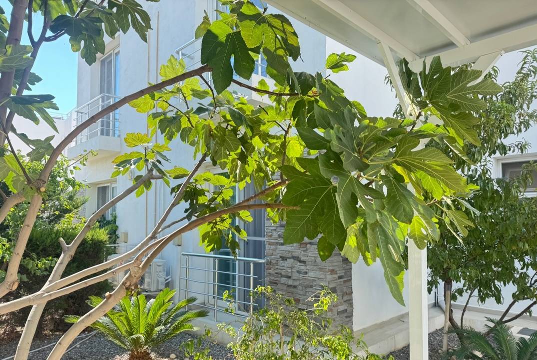 Villa for Rent in Bogaz, Caesar Beach Complex – Right on the Seafront!