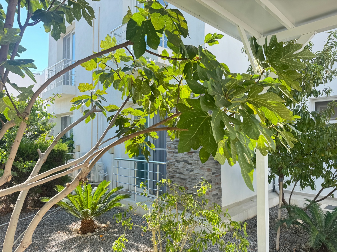 Villa for Rent in Bogaz, Caesar Beach Complex – Right on the Seafront!