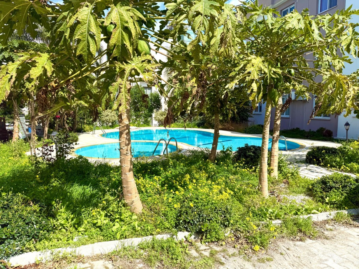 Spacious 1+1 Penthouse for Sale in Girne Alsancak – Kavankoy 6 Site