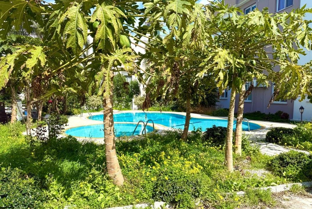 Spacious 1+1 Penthouse for Sale in Girne Alsancak – Kavankoy 6 Site