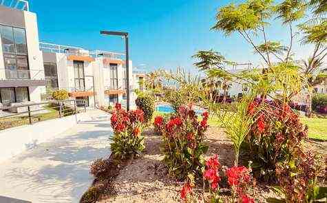 1+1 Garden Apartment in a Boutique Resort Complex, Esentepe