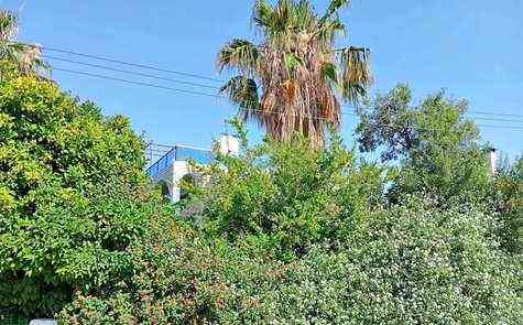 3-Bedroom Villa in Karaoğlanoğlu with Sea & Mountain Views
