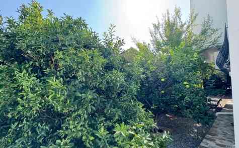 3-Bedroom Sea-View Villa for Sale in Tatlisu, North Cyprus — 400 m from the Sea