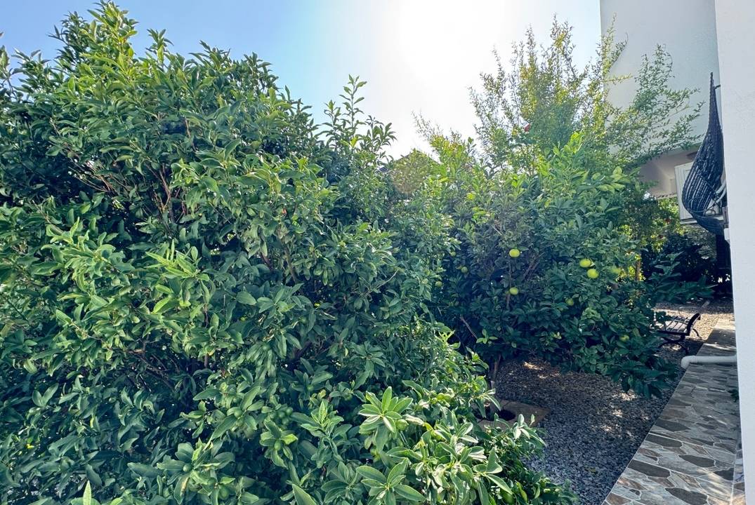  3-Bedroom Sea-View Villa for Sale in Tatlisu, North Cyprus — 400 m from the Sea
