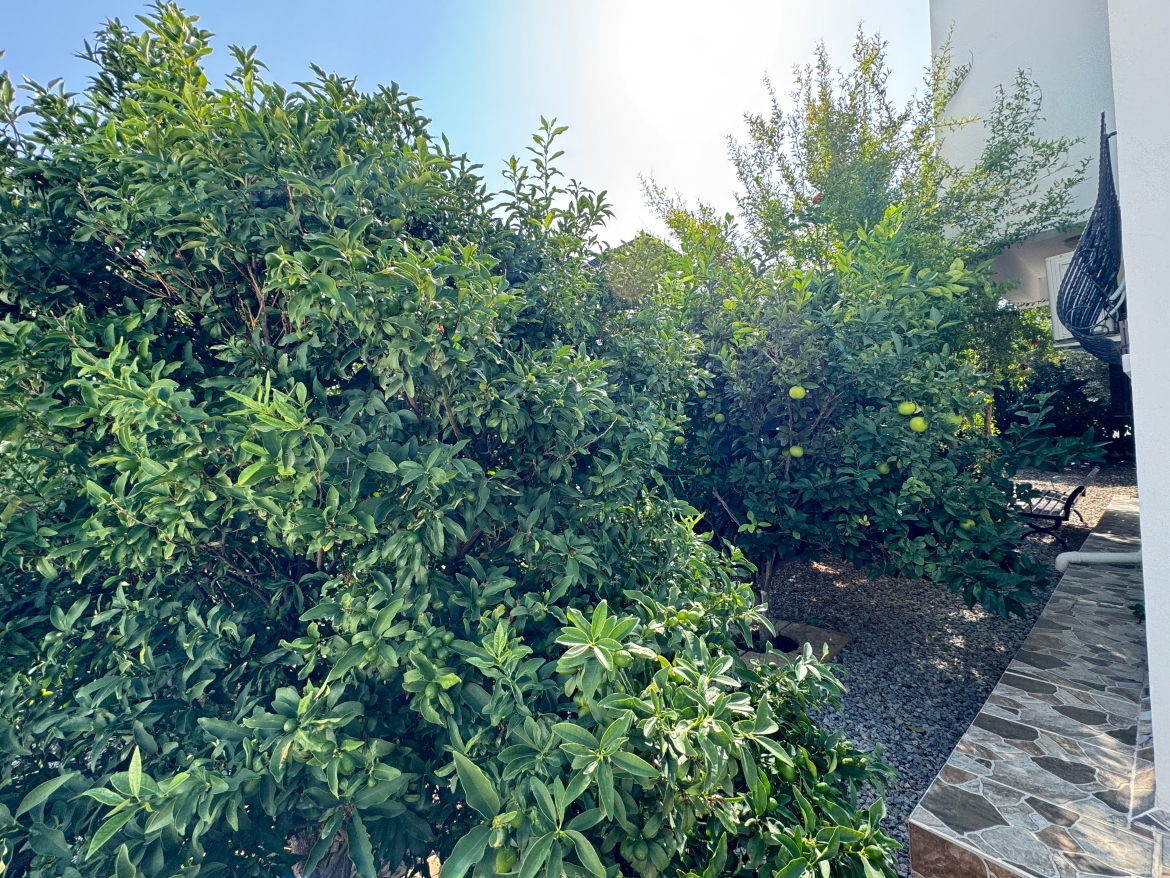  3-Bedroom Sea-View Villa for Sale in Tatlisu, North Cyprus — 400 m from the Sea