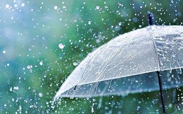 Heavy rainfall and strong winds today. Drive safely and follow official updates.